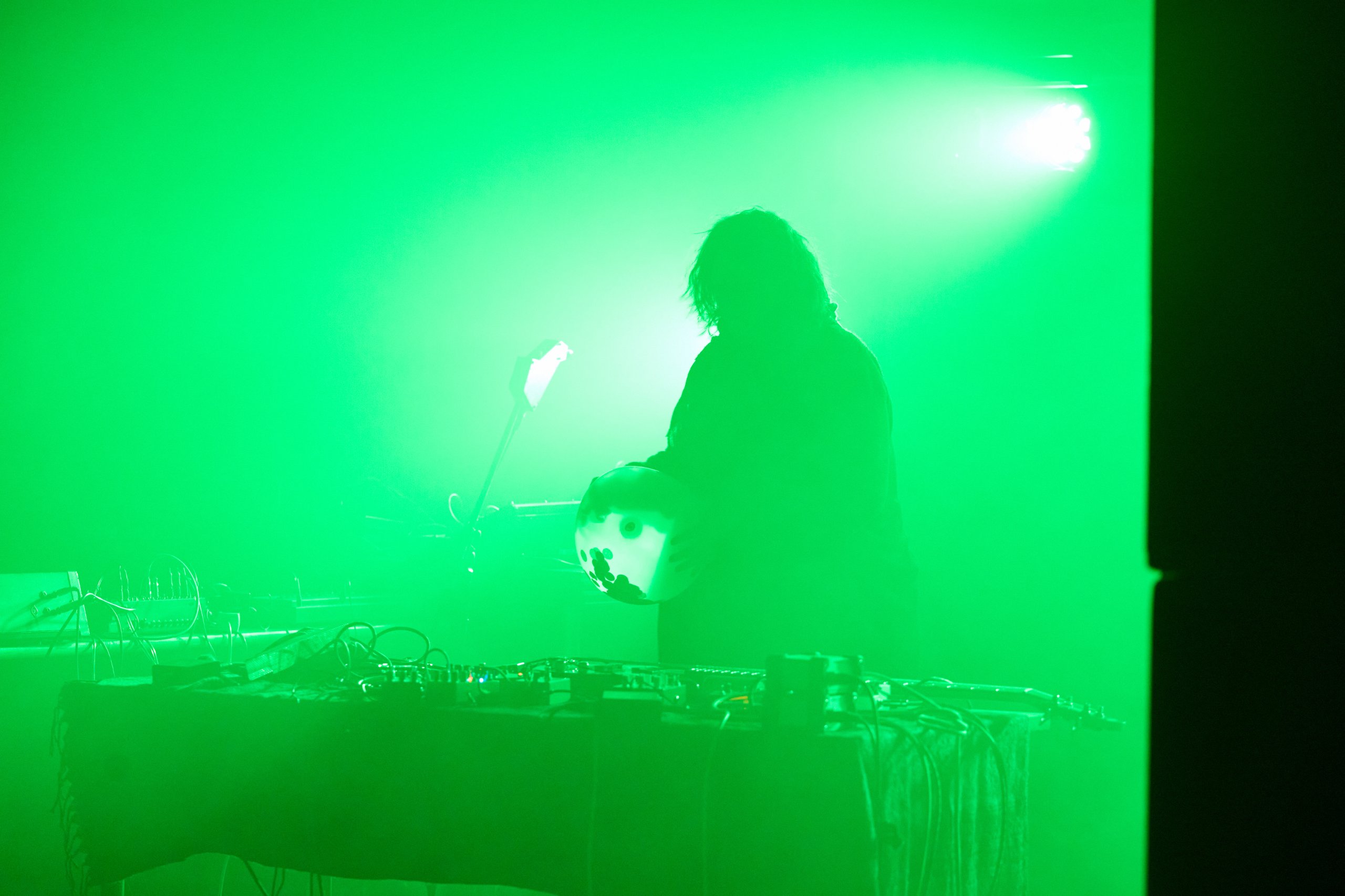 2024 09 13 Auditiver Cortex 0429